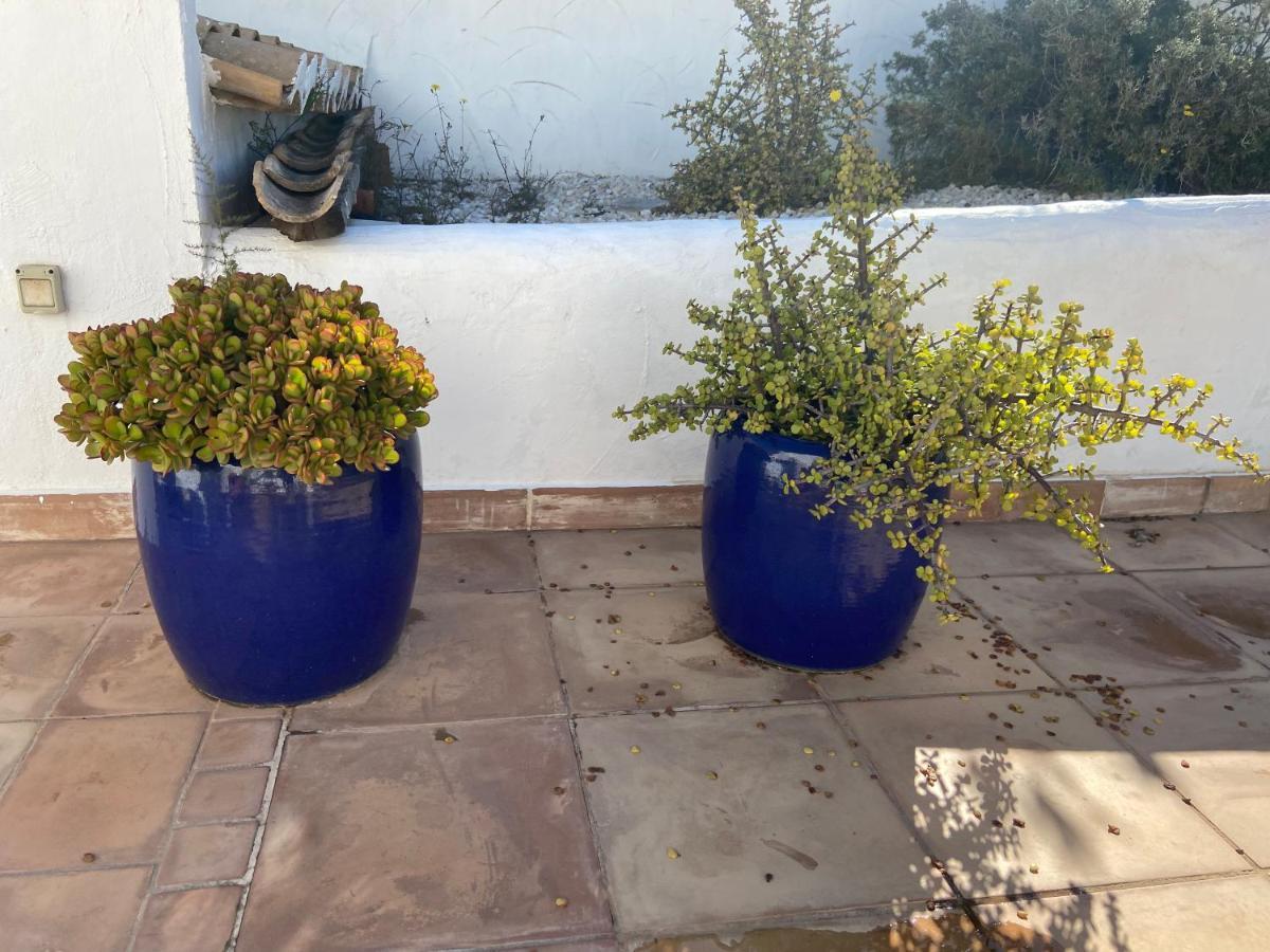 Javea Villa Entiere Piscine Et Cuisine D'Ete A Pinosol Extérieur photo